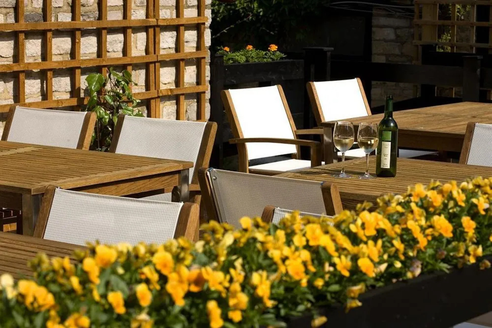 Crown & Cushion Hotel