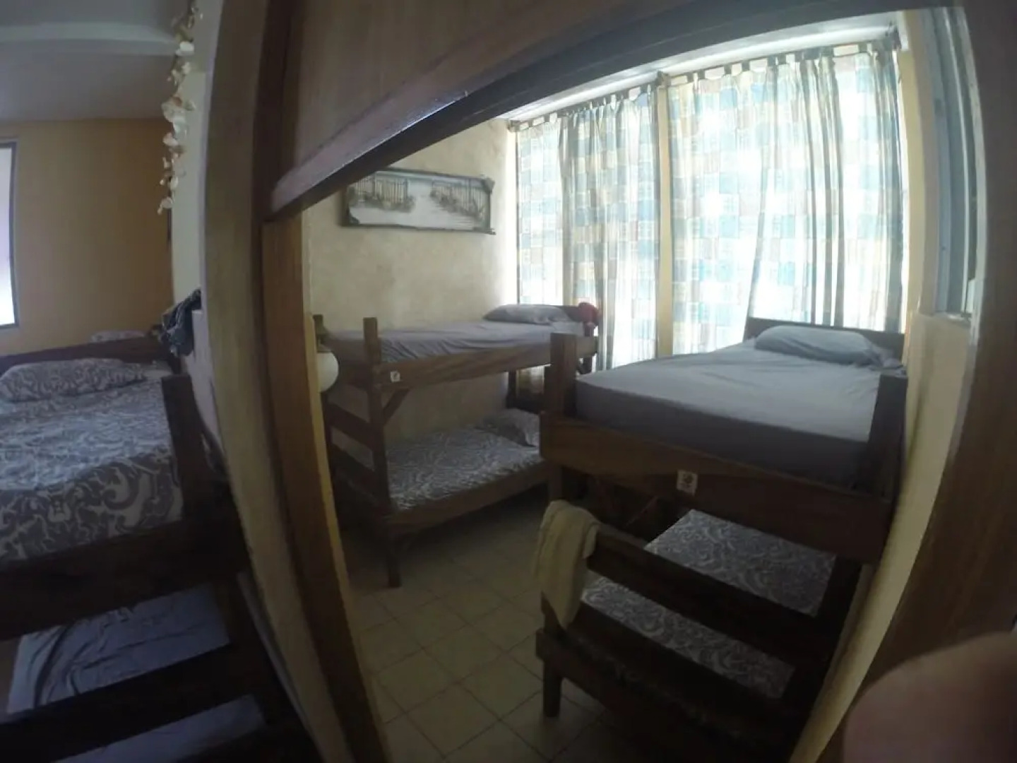 The Driftwood Surfer