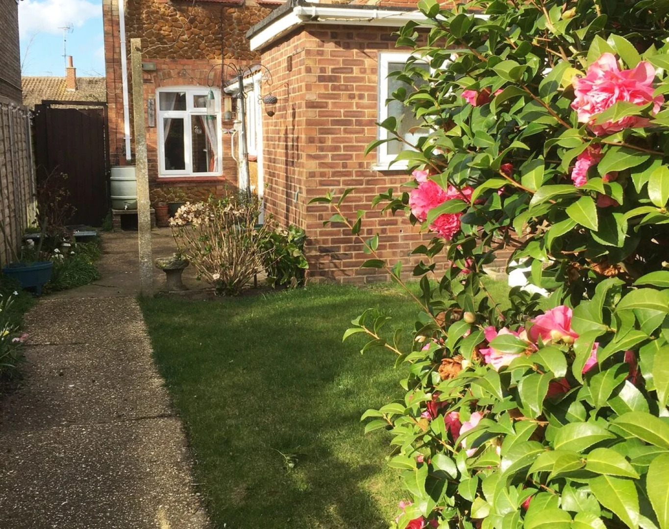 Poppy & Will's.....quiet, Cosy Cottage