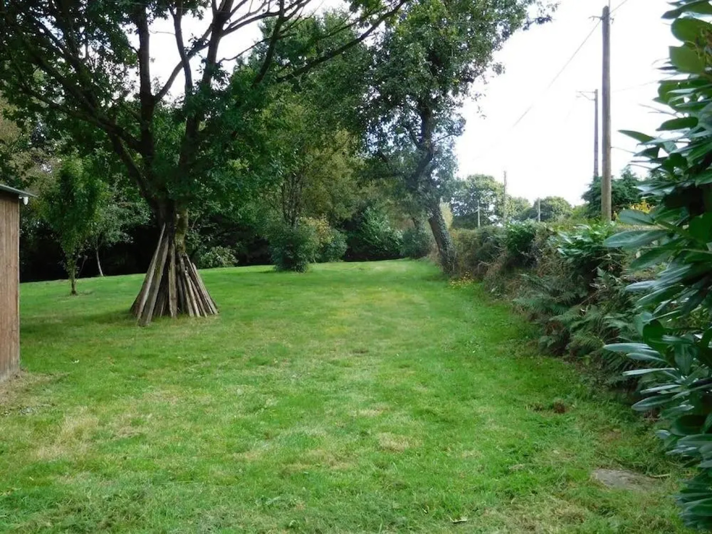 B&B ~ Repos sous les arbres
