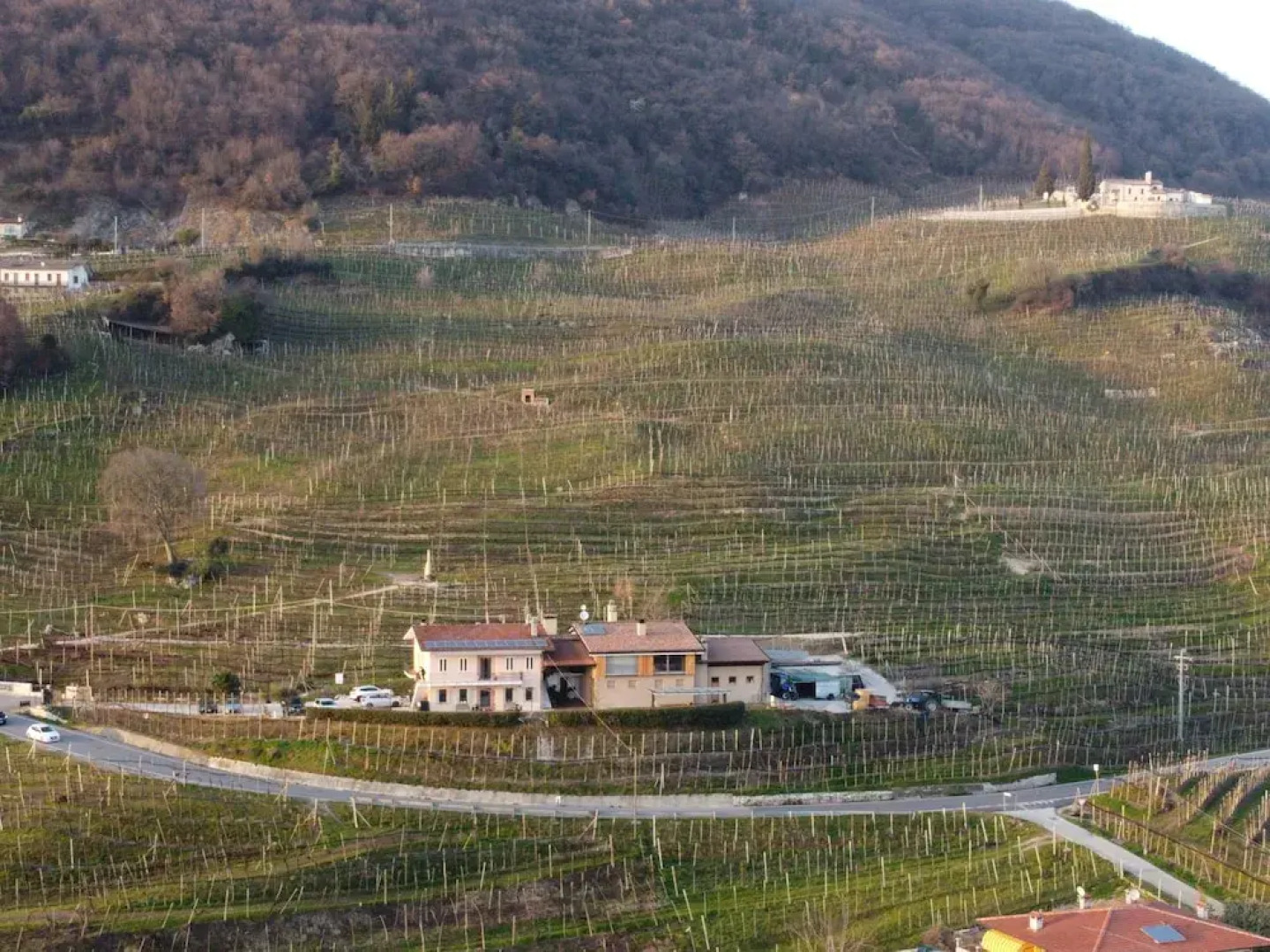 Agriturismo B&B Casa Bortolin