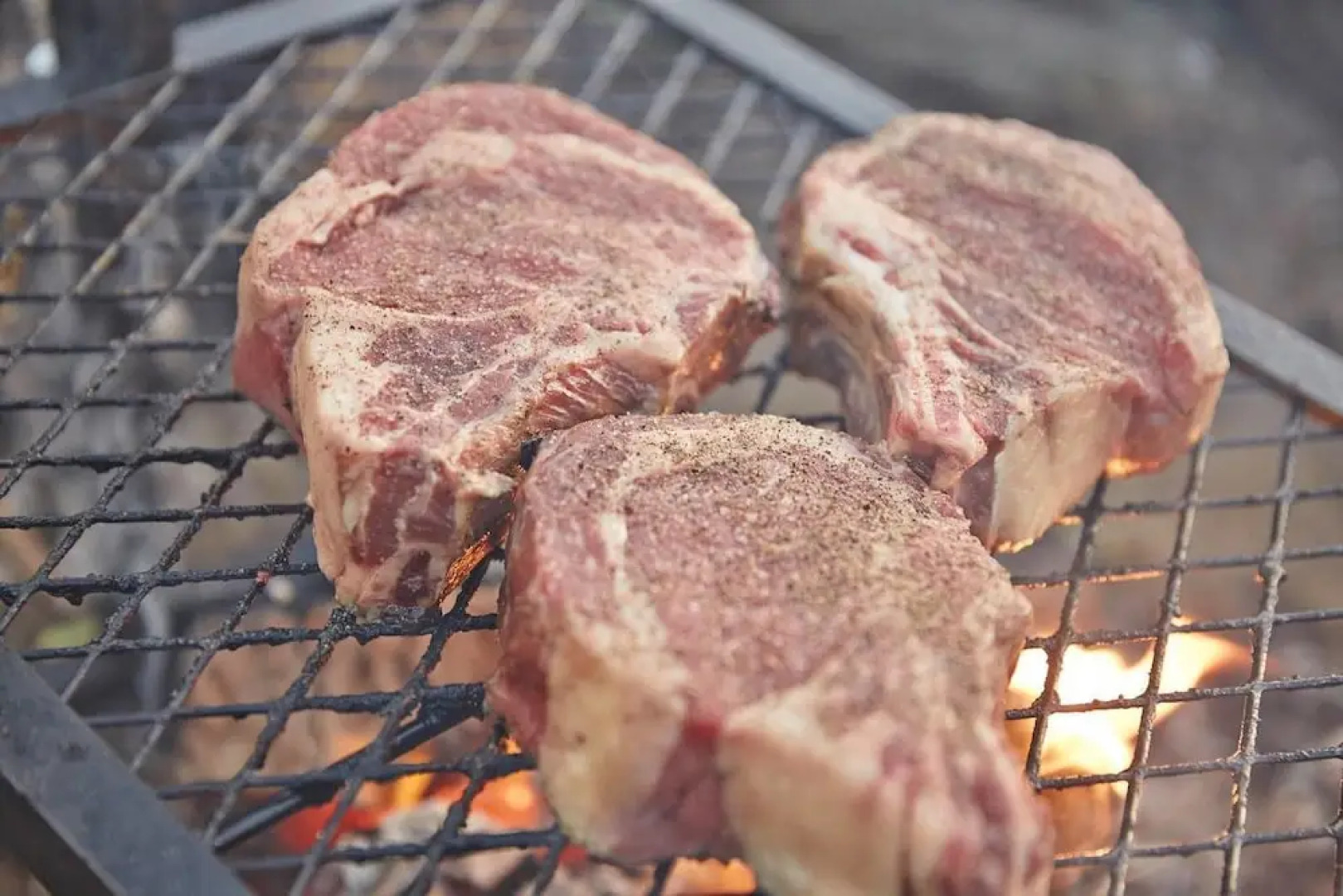 Tentrr - Home Sweet Campsite