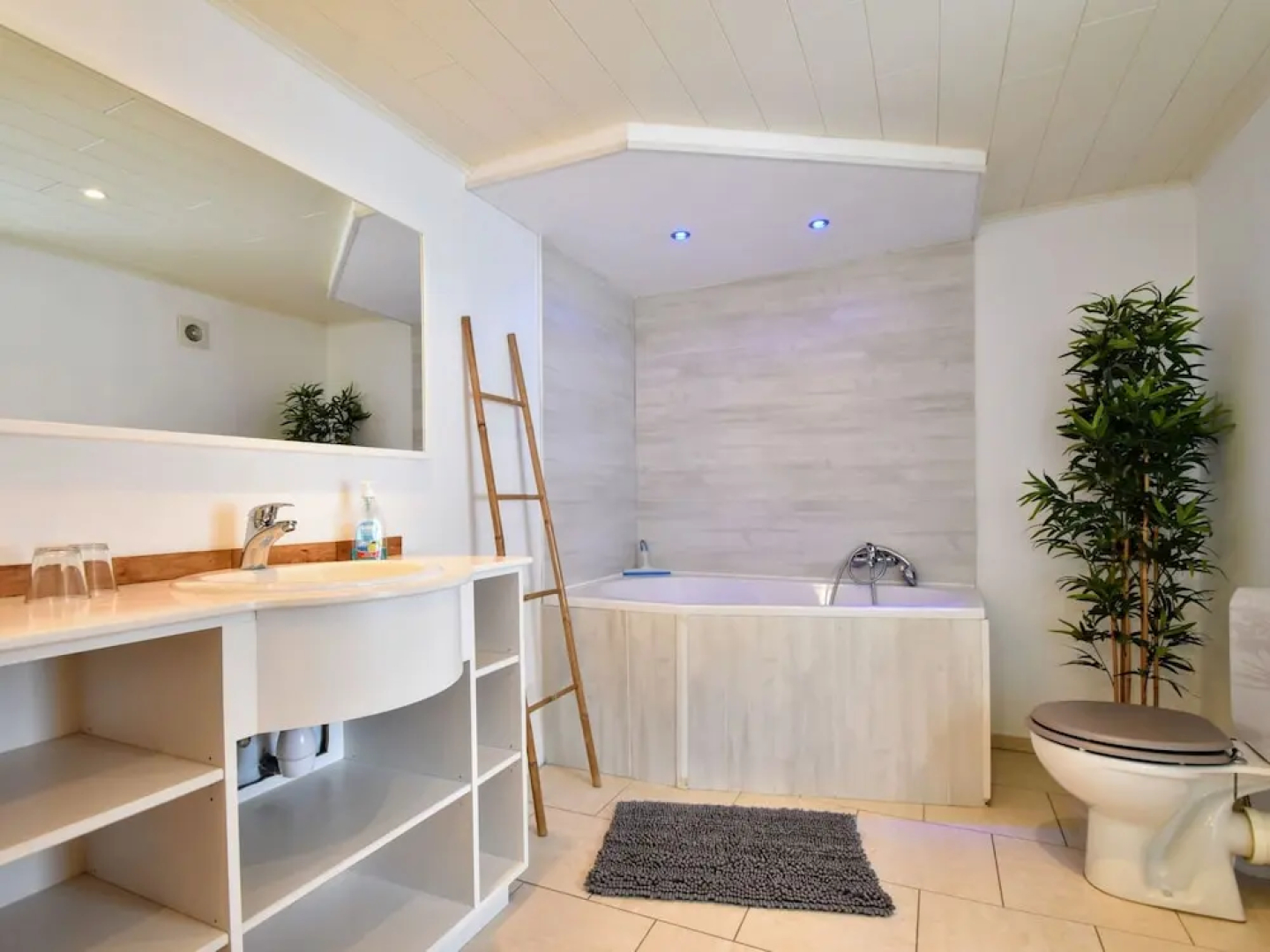 Luxury Pool Villa in Goesnes