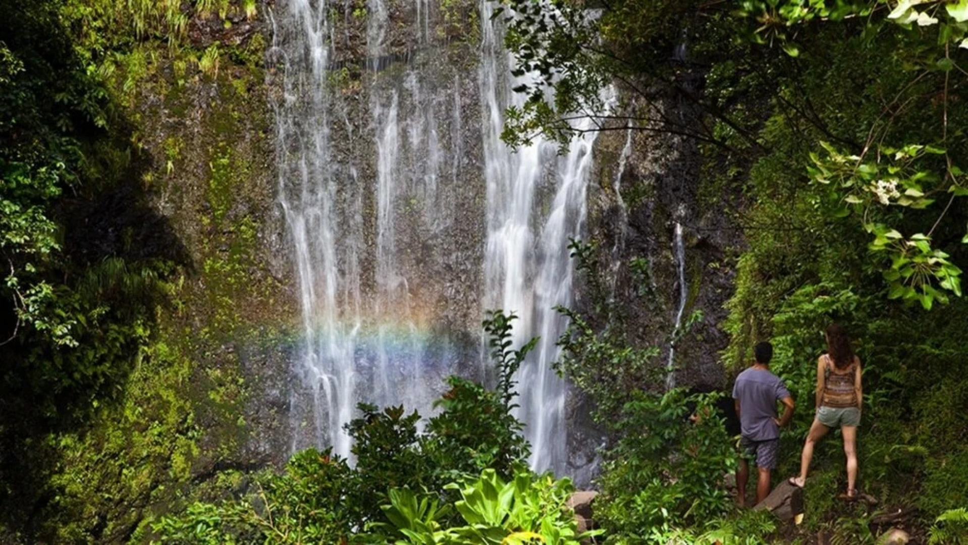 Kihei Alii Kai A207 in Kihei, Kihei