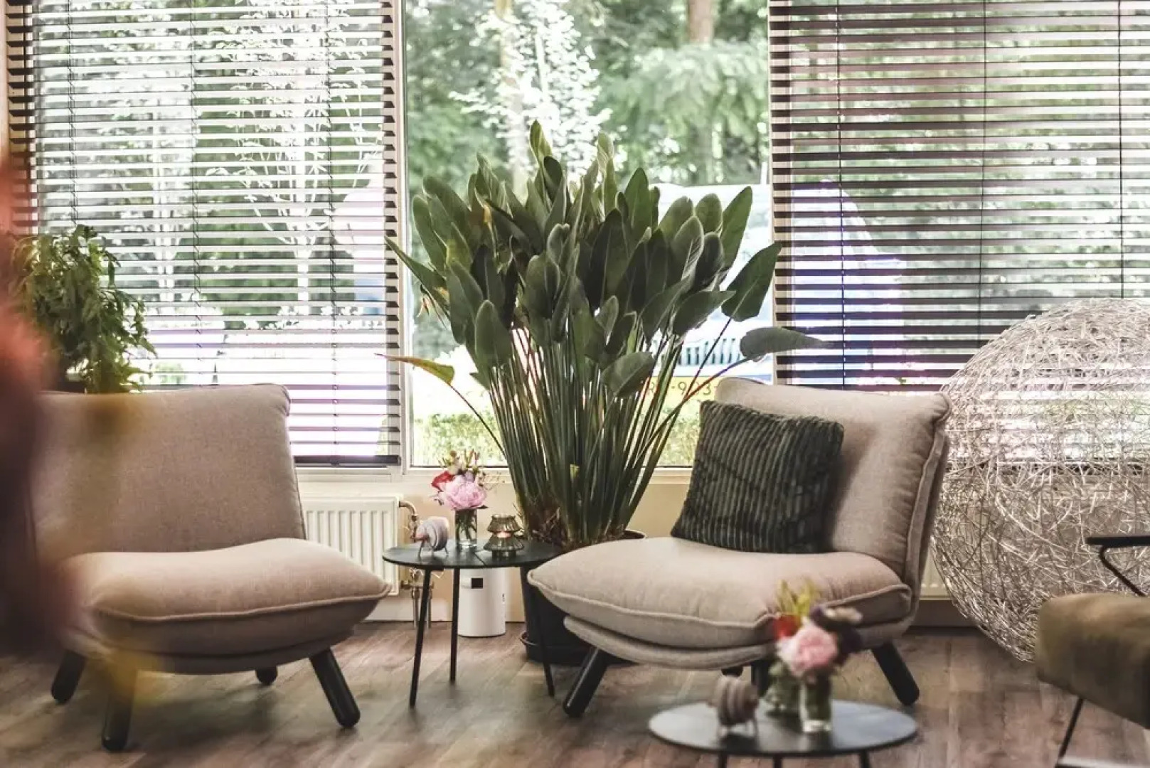 Witte Berken Natuurhotel