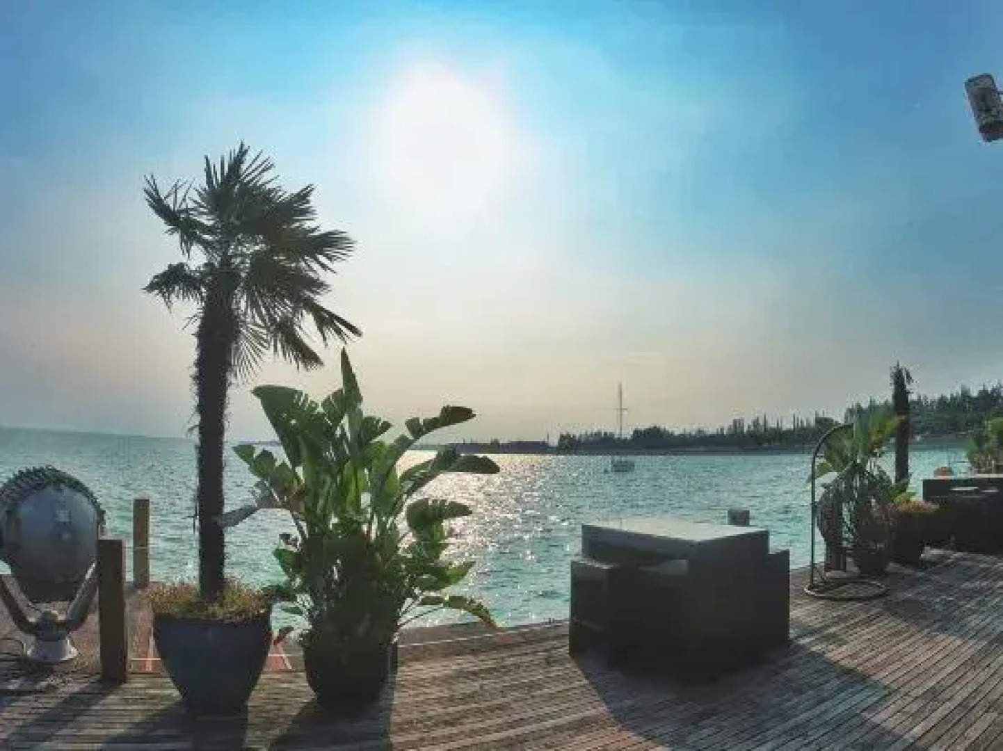 Rhine Dream Yacht Club