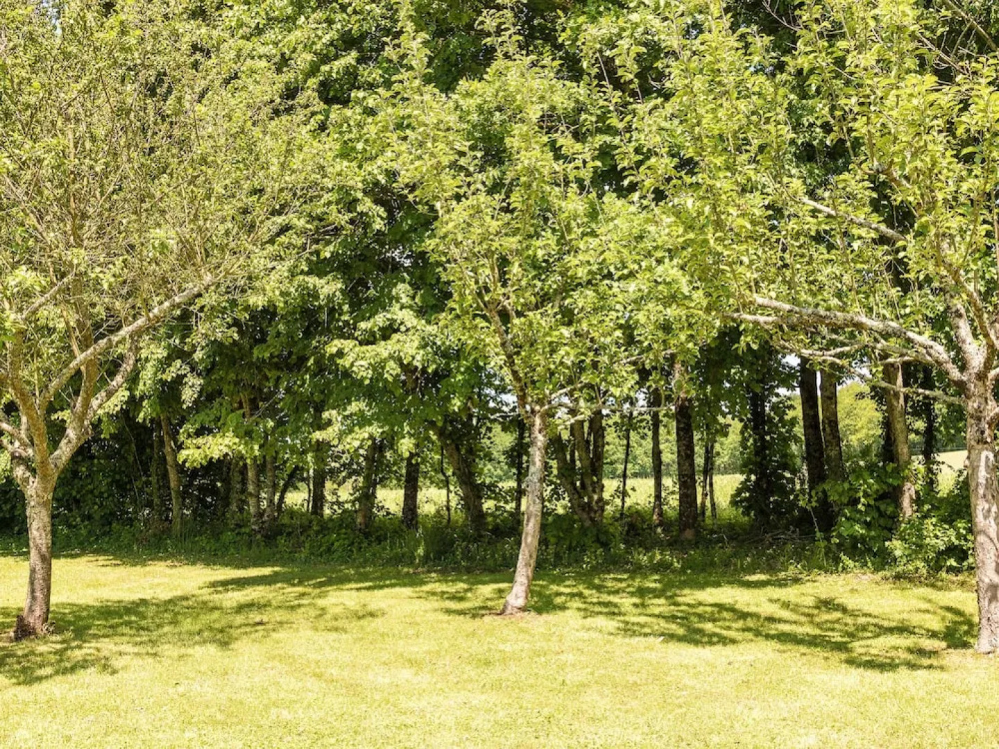 Pleasant Cottage With Swimming Pool, Large Garden, Playground and Beautiful View