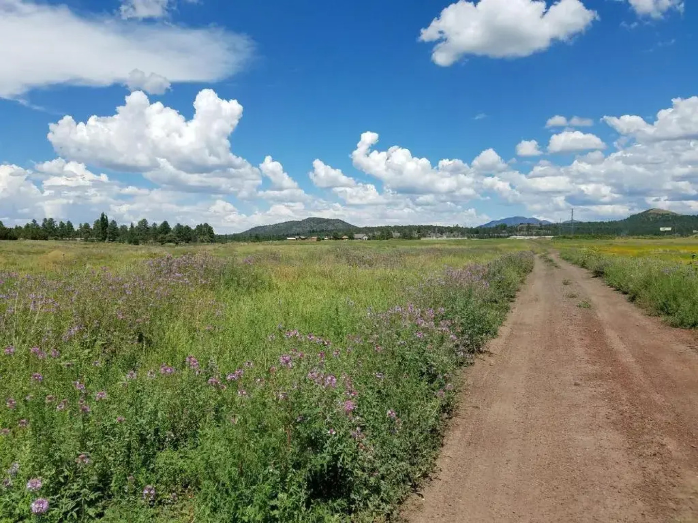 Grand Canyon RV Glamping