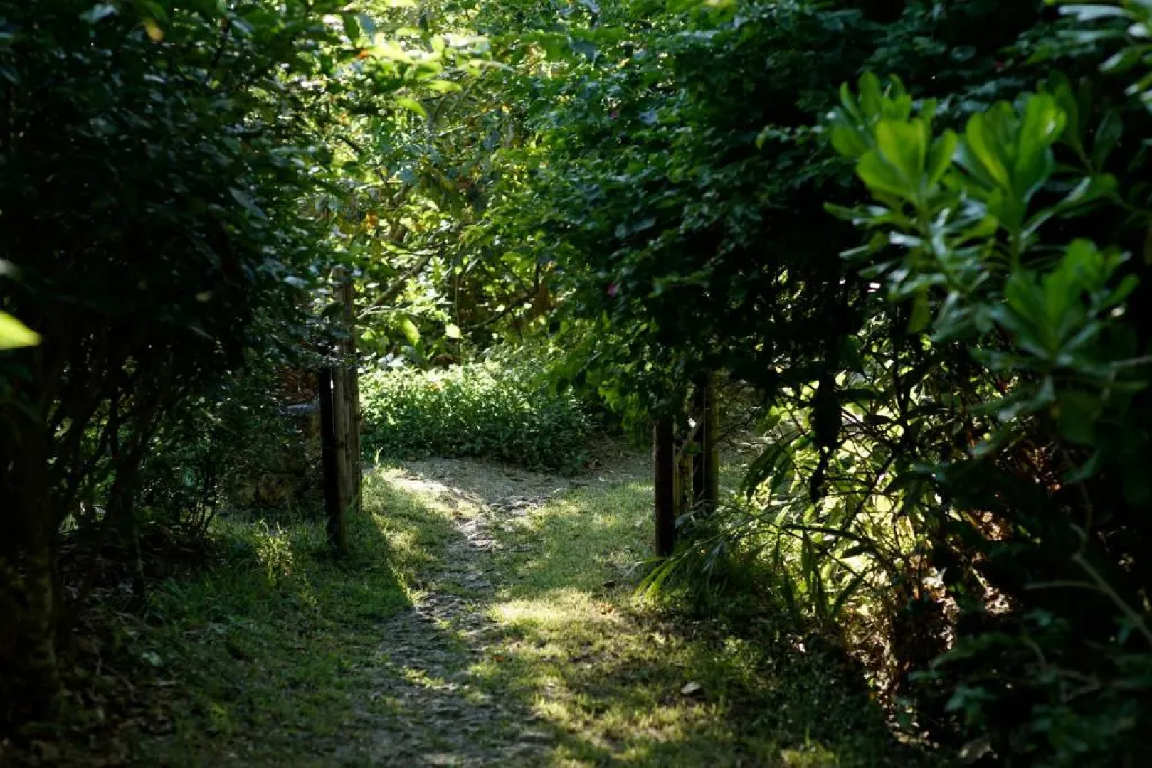 ヴィラ さちばると山の小屋