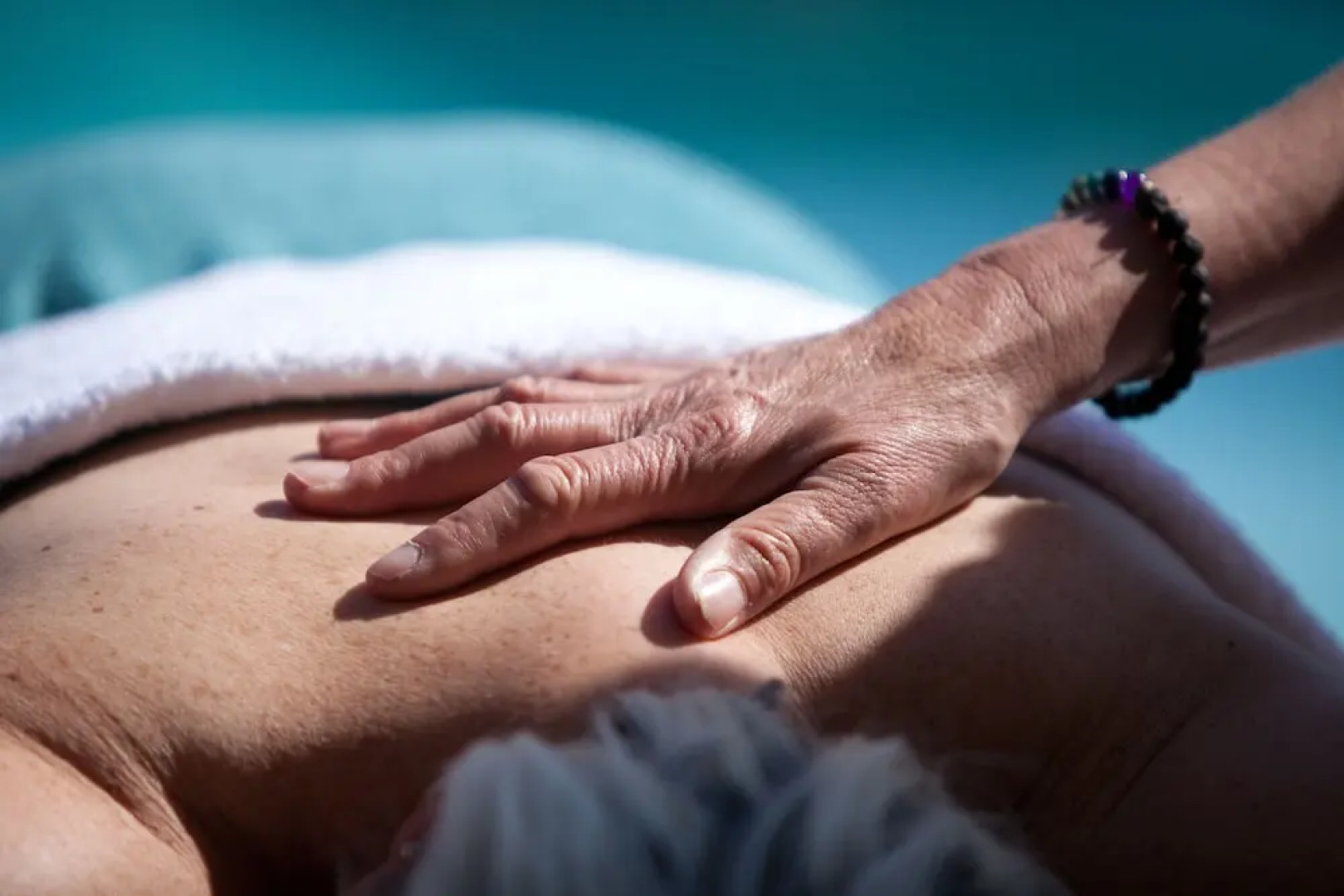 The Shed East Sussex