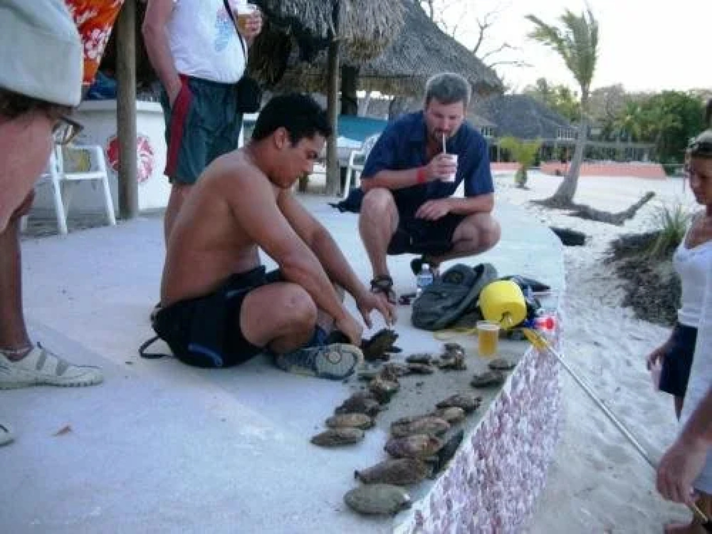 Casa del Sol Bed and Breakfast