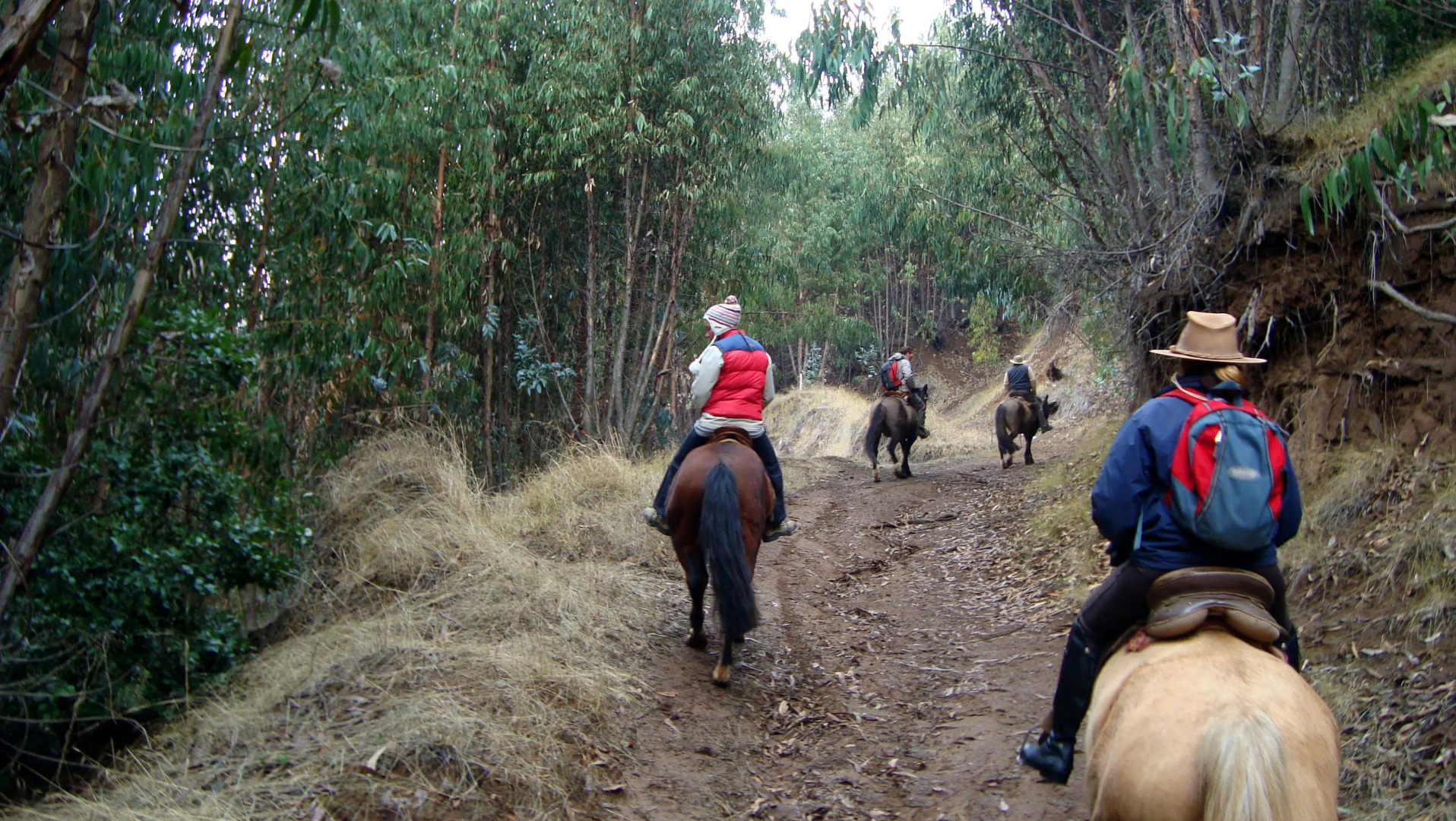 Posada del Parque Lodge