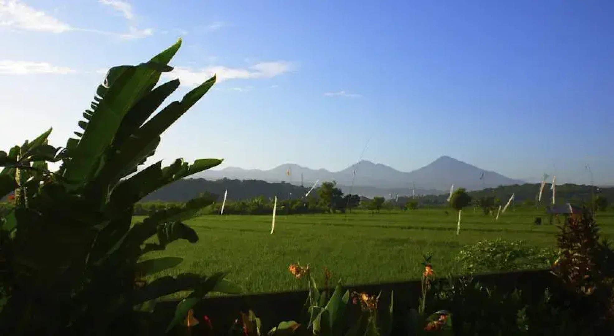 Kundalini Beach Houses