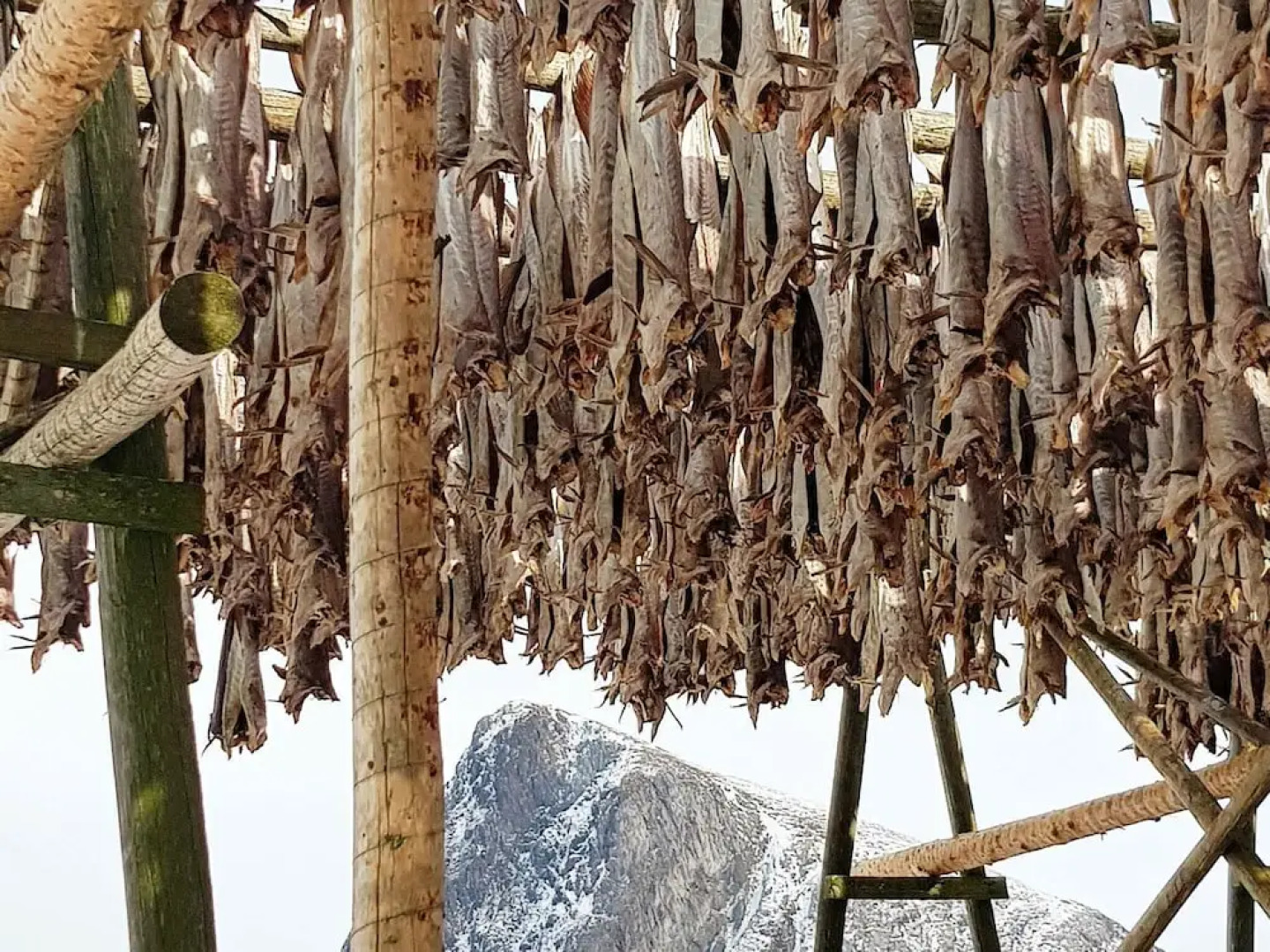 8 Person Holiday Home in Napp