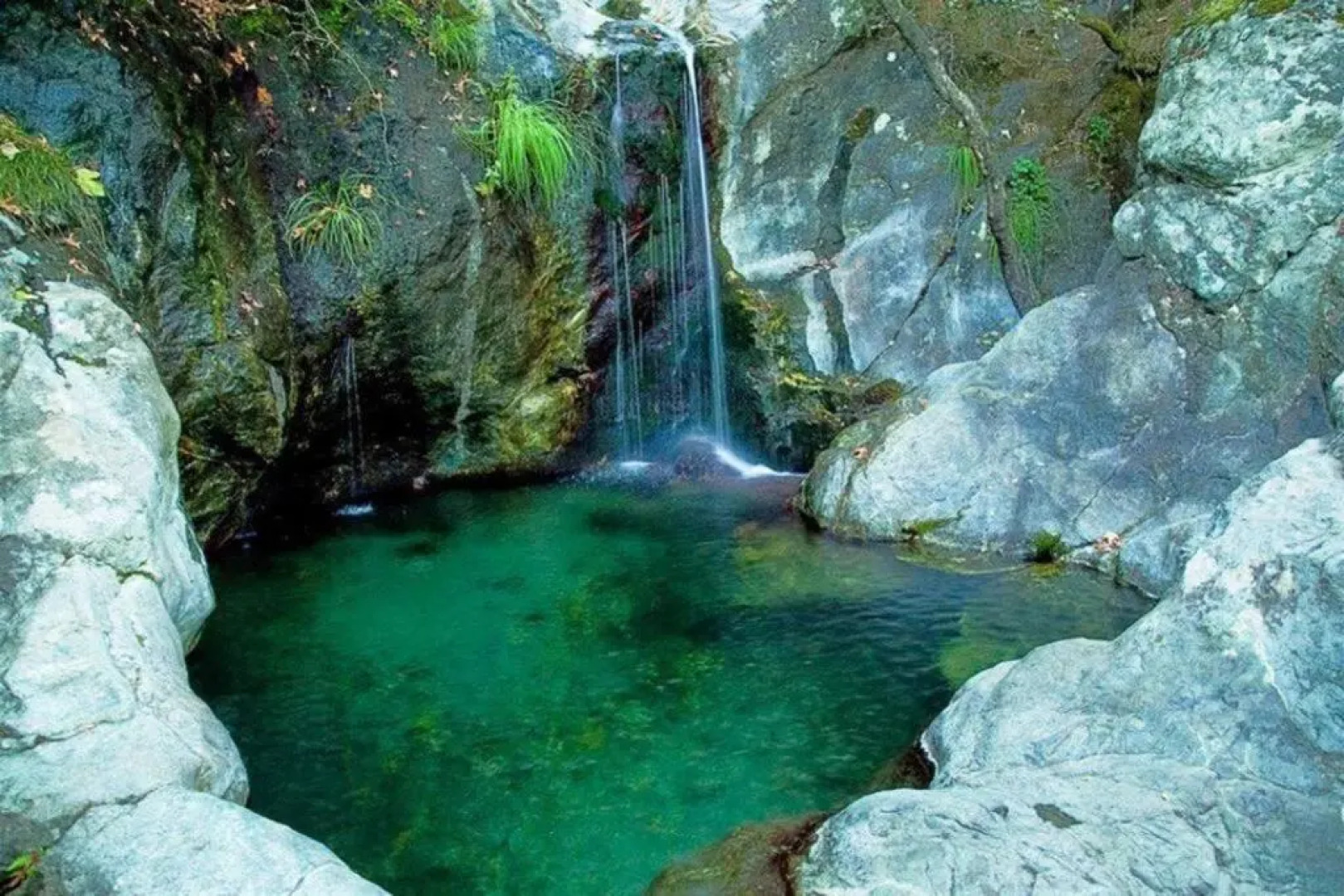 Good Vibes Apartments