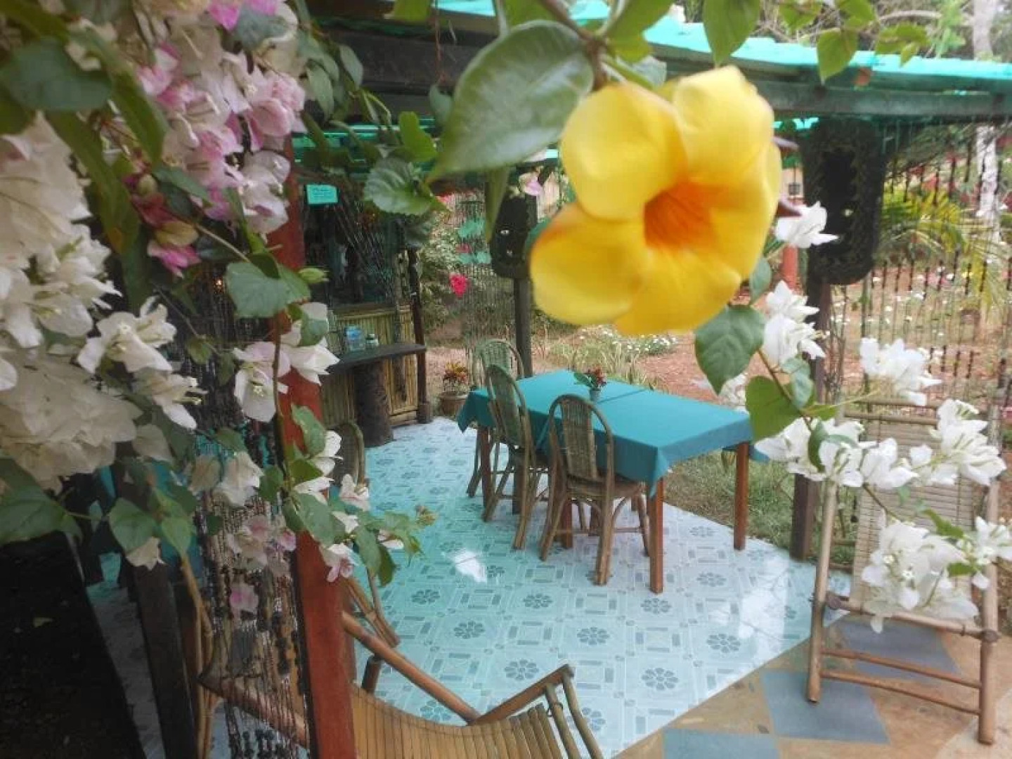 Jungle Flower Guest House