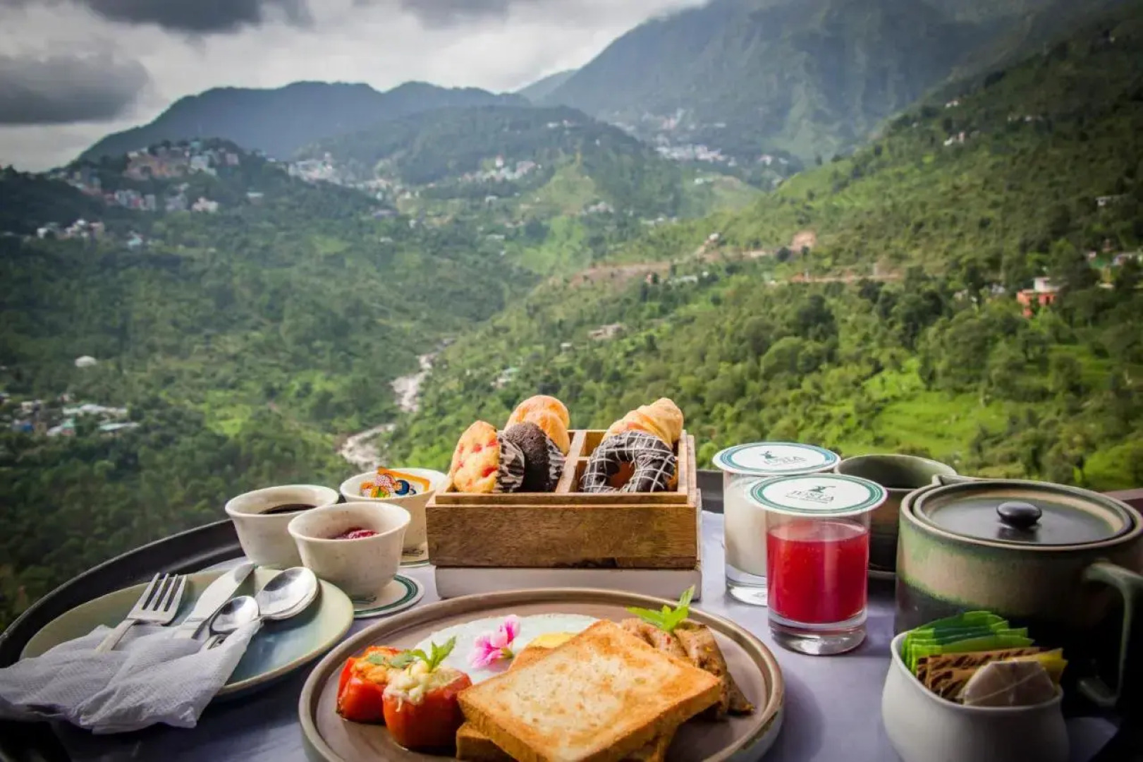 Justa Birding, Dharamshala