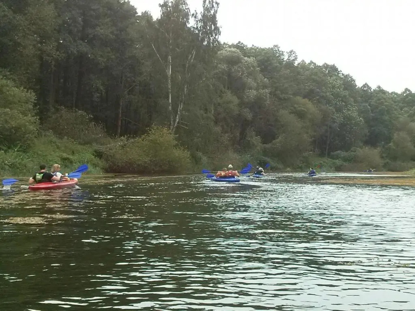 Agroturystyka "U Źródła"