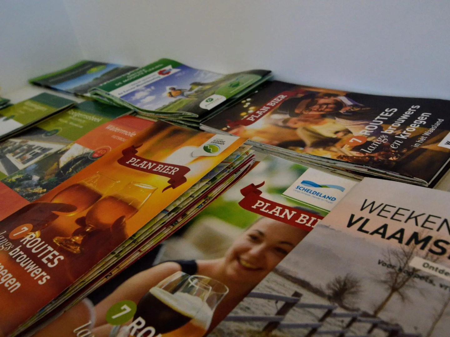 Spacious villa in Zingem with garden