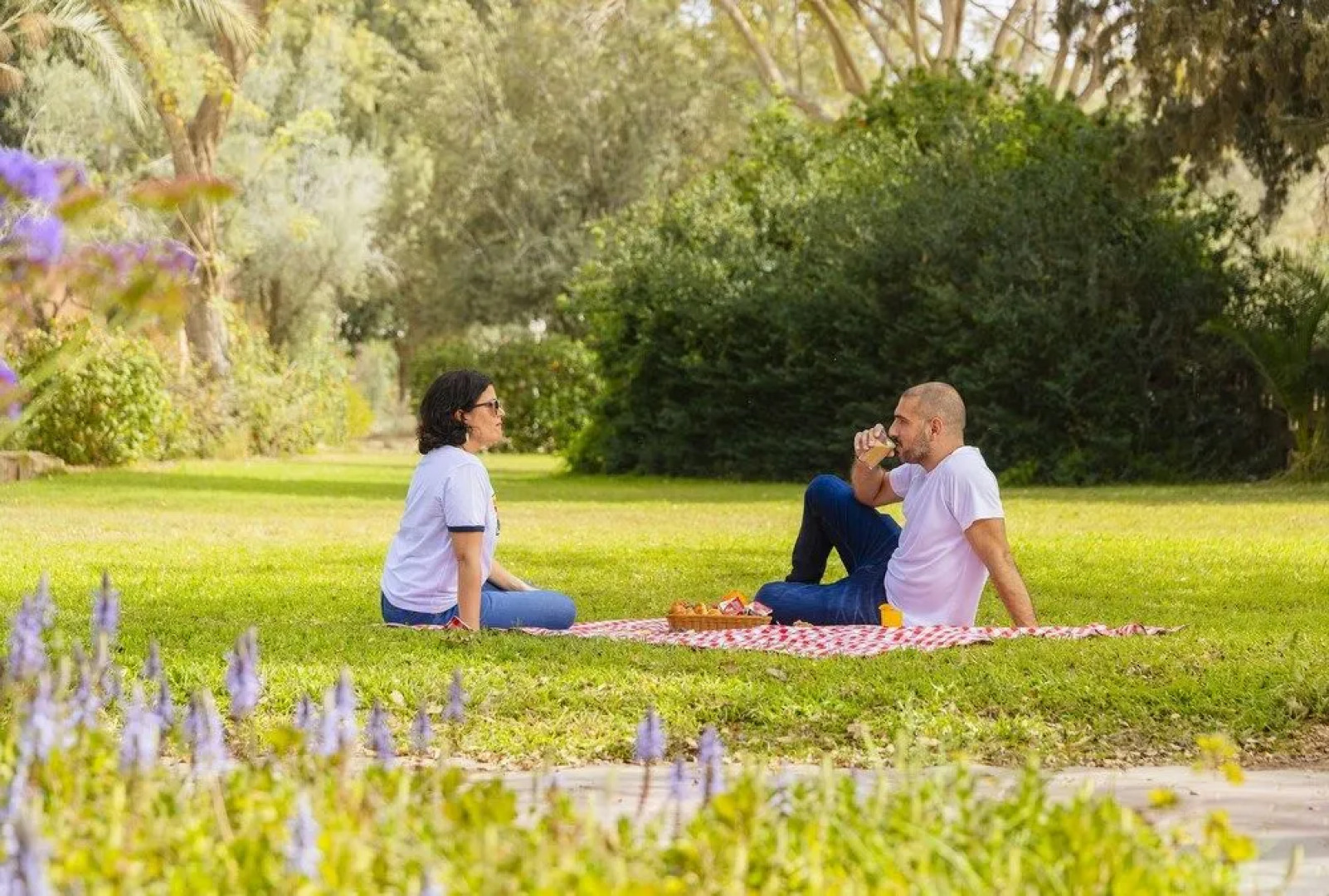 Kibbutz Gvulot Country Lodging
