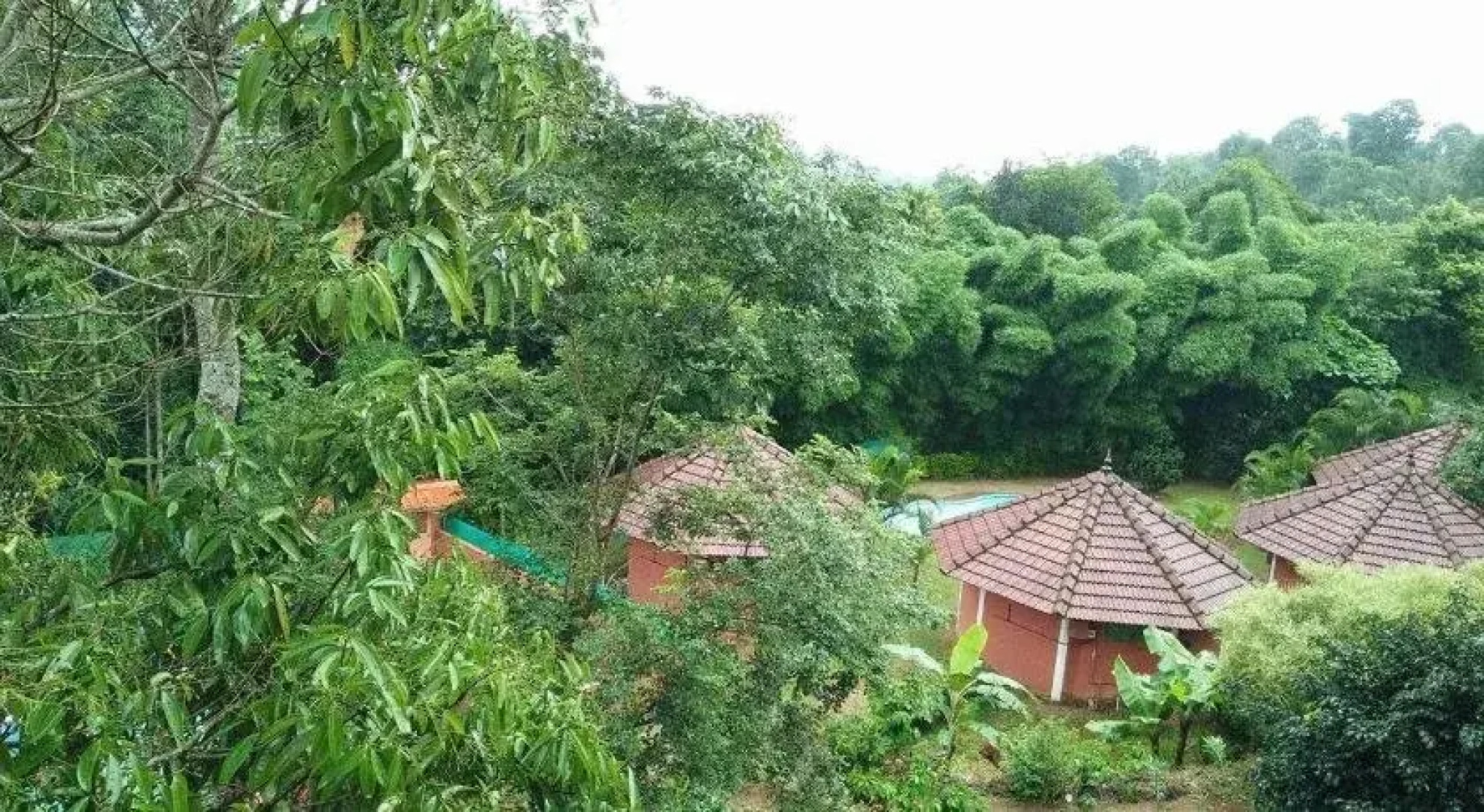 Sunbird Garden Resort