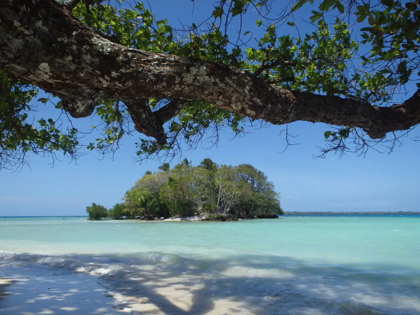 Sunrise Beach Cabanas Eco-Resort