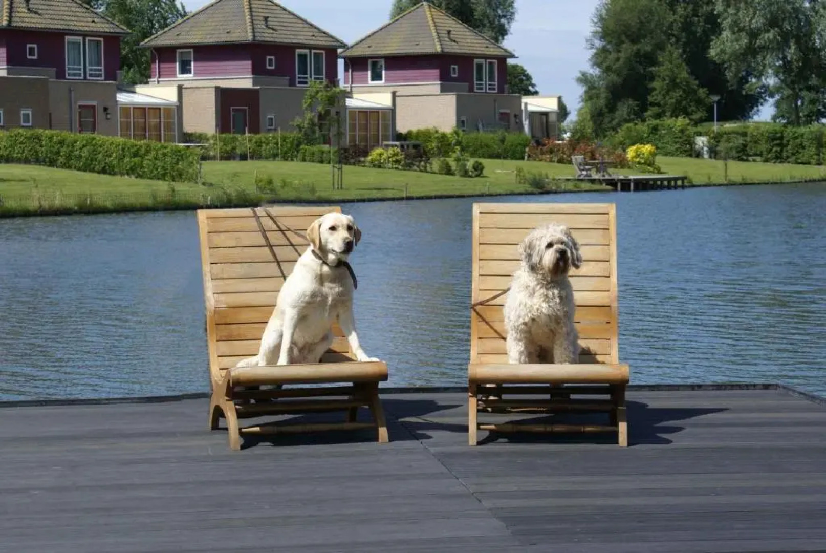 Maxime 207 Kustpark Village Scaldia