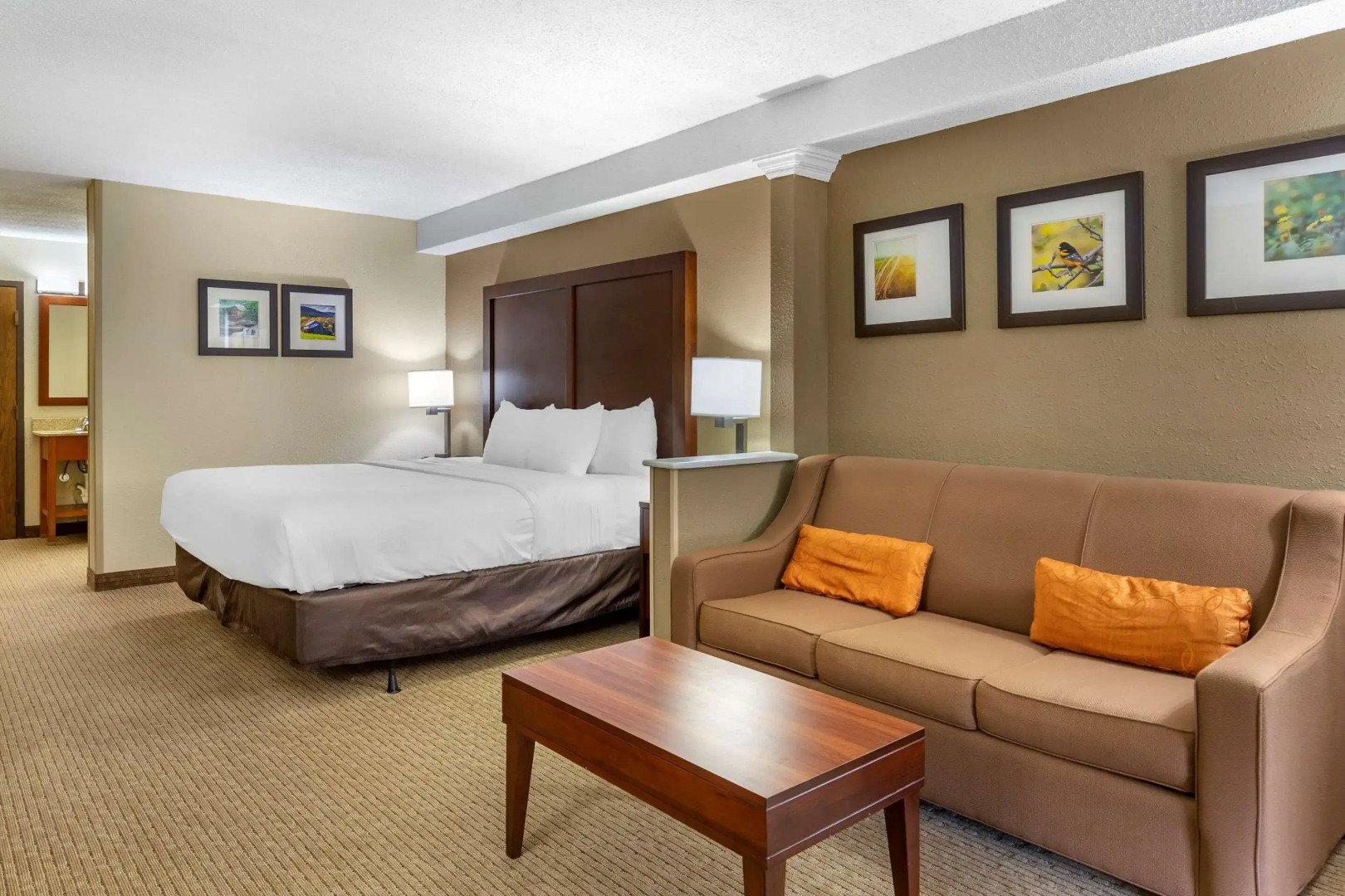 Comfort Inn & Suites near Danville Mall