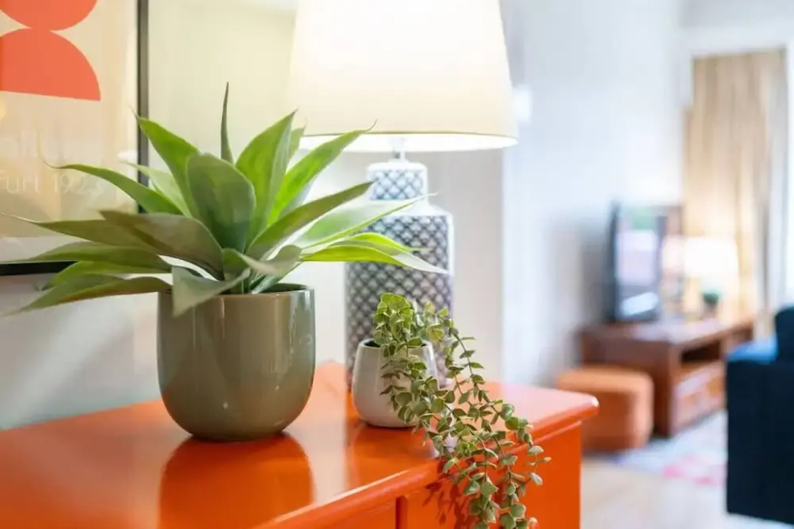 Westland Shores - An East Neuk Gem