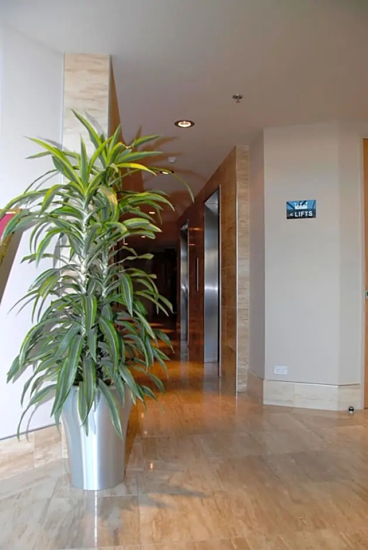 Top Of The Town Bed & Breakfast