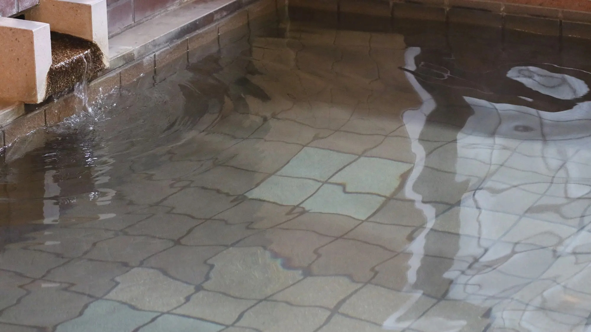 Nishidani Onsen Chuseikan