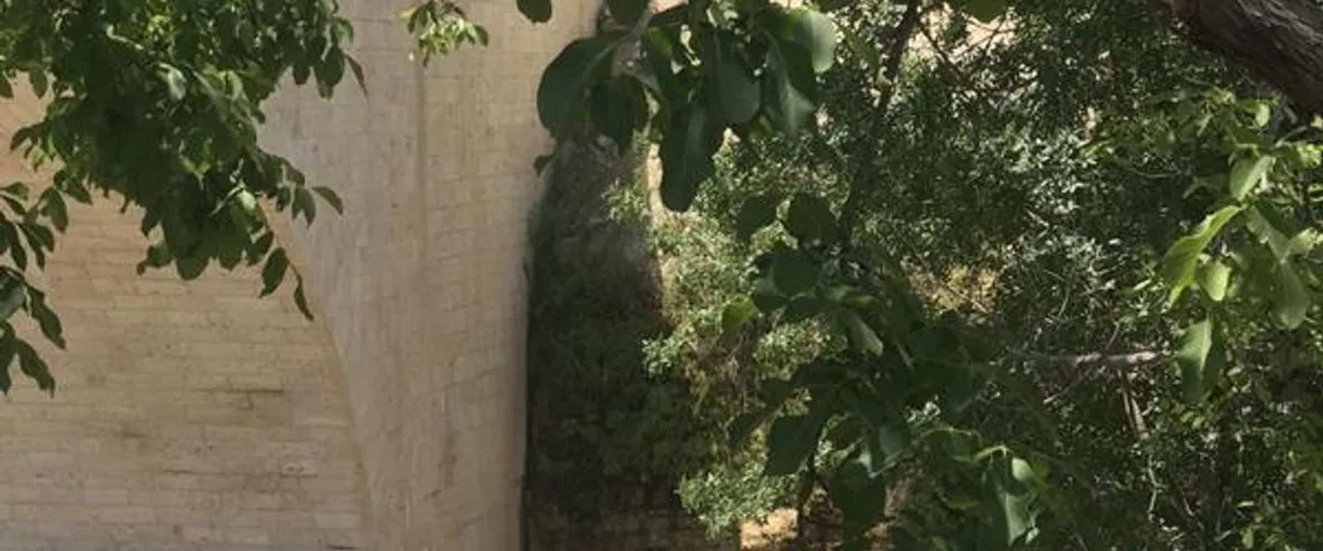 Elmas Restaurant ve Pansiyon