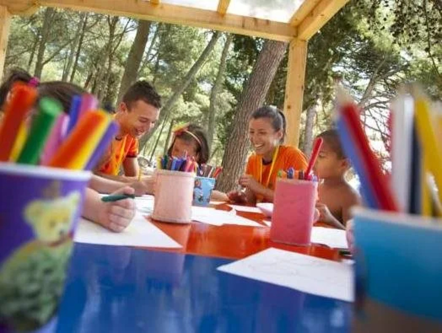 Holiday Homes Istrian Premium Village