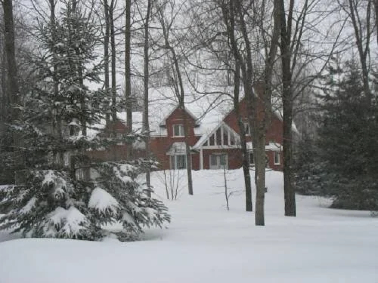 Maple Woods Bed & Breakfast