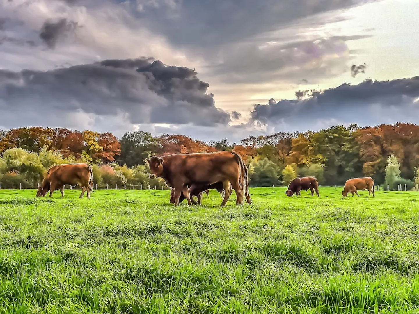 Chalet With a Decorative Fireplace