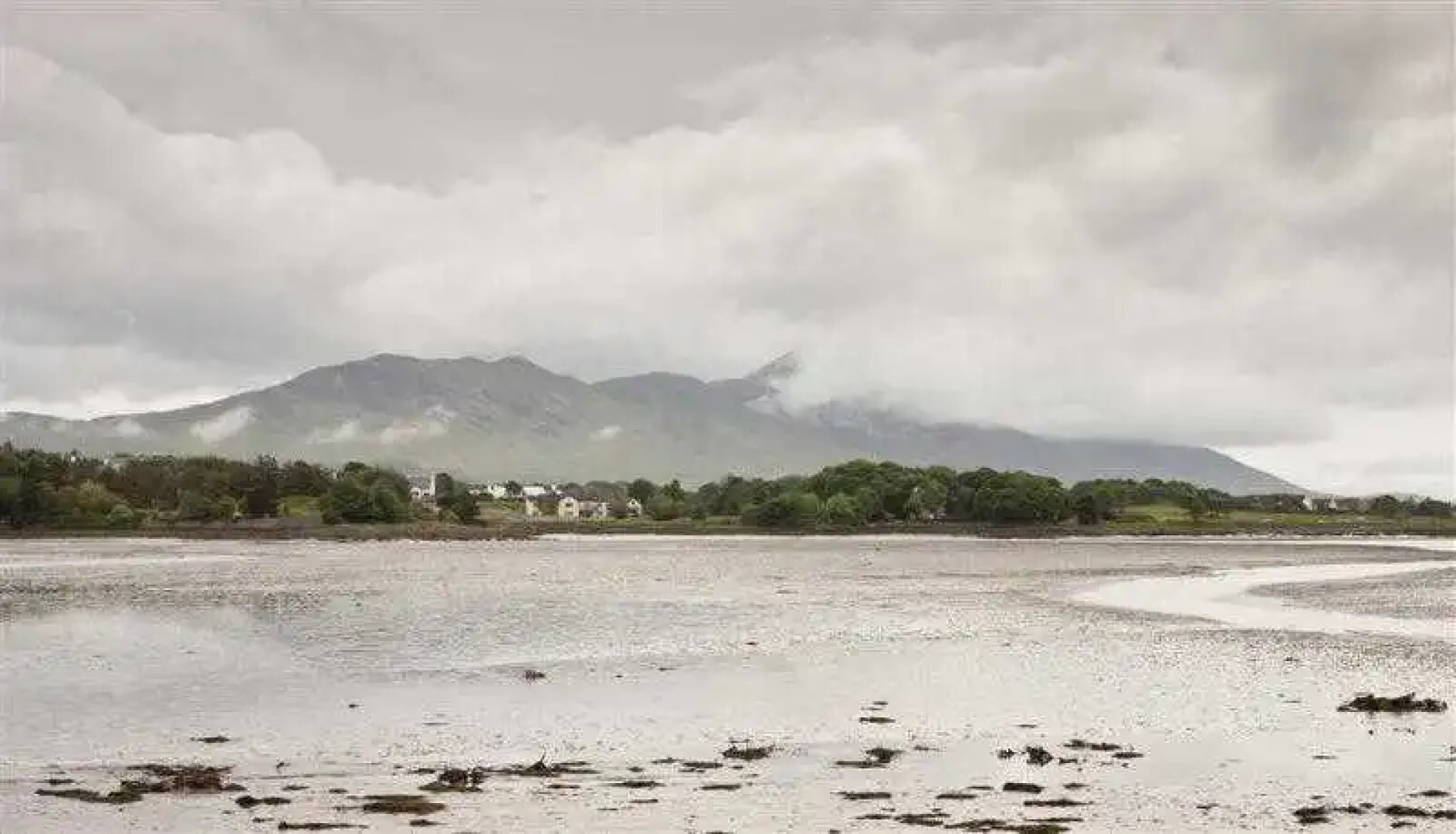 Best Western Plus Westport Woods