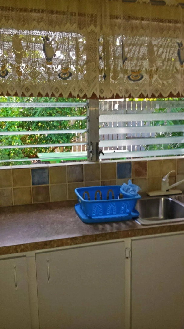 Eldemire's Tropical Island Inn