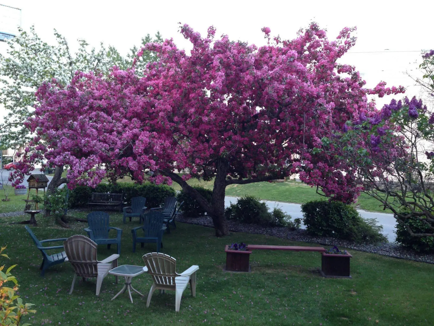 Lakeshore Inn & Suites