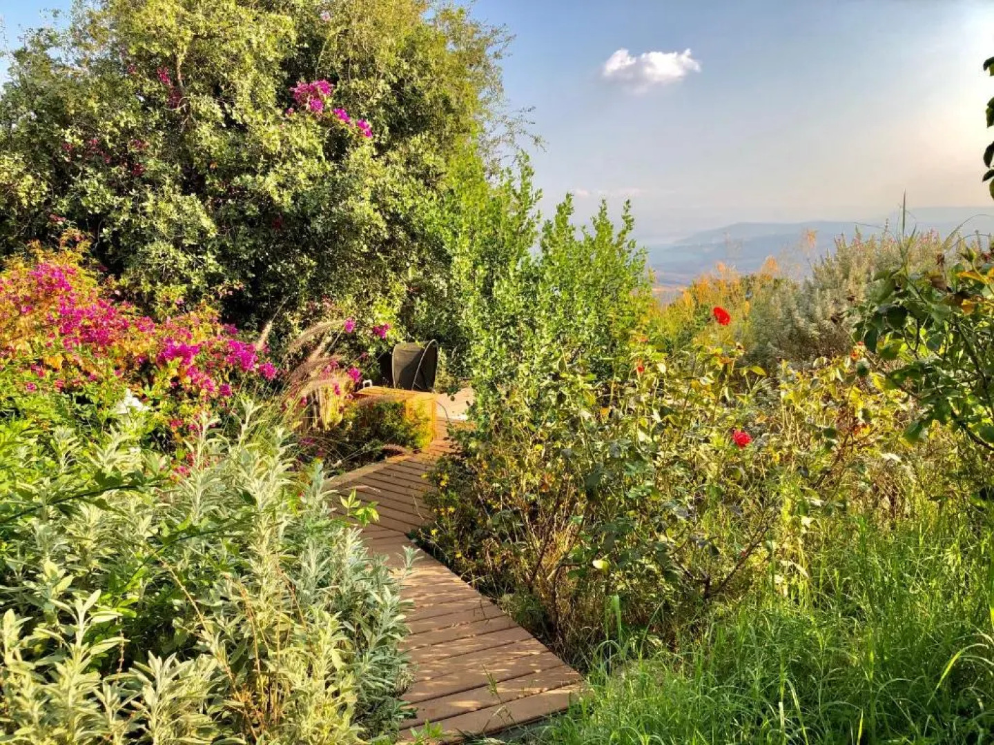 Rose Garden - Gan Vradim