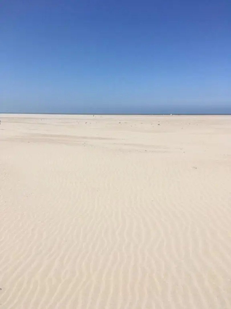 Bel appartement Zeebruges