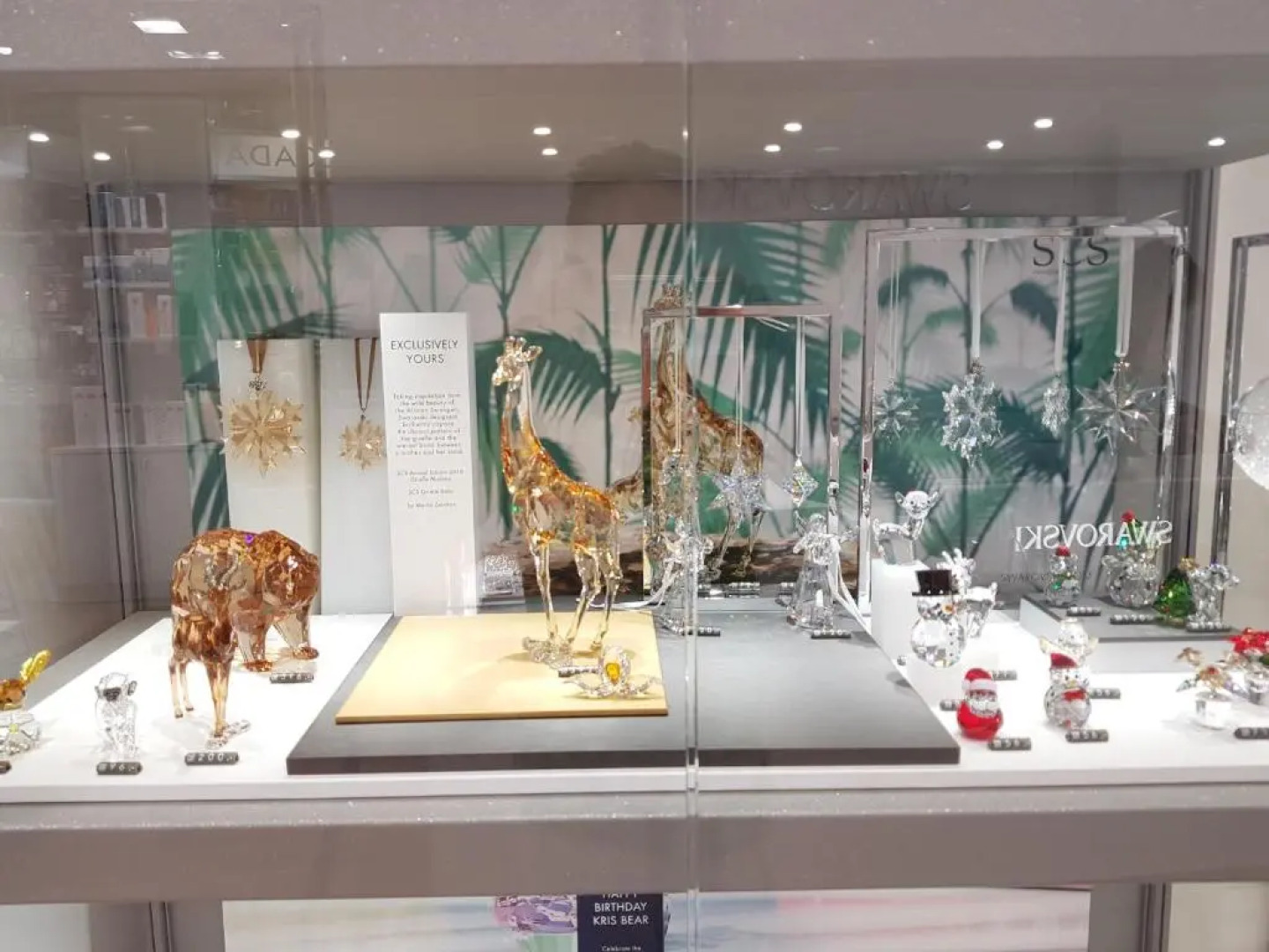 Apart-Garni Motnaida