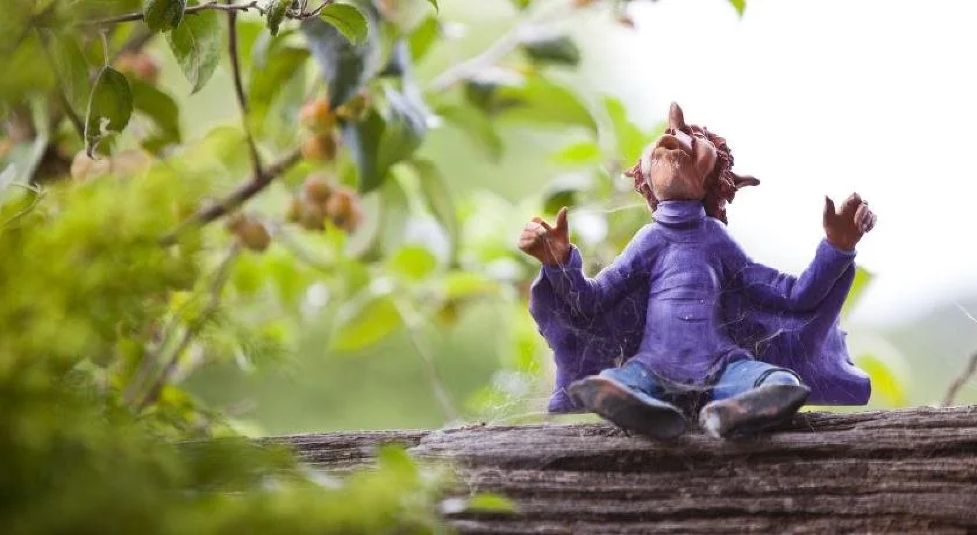 El Pedrueco Turismo Rural