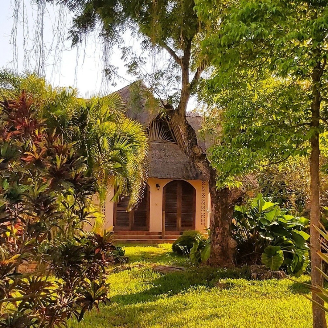 Tiwani Sunset, a Little Piece of Eden