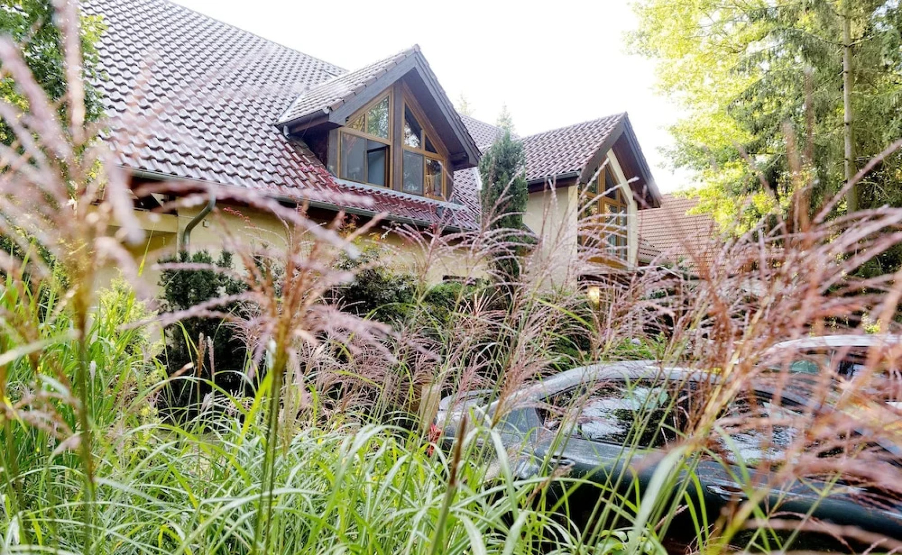 Hotel am Katharinenholz Potsdam