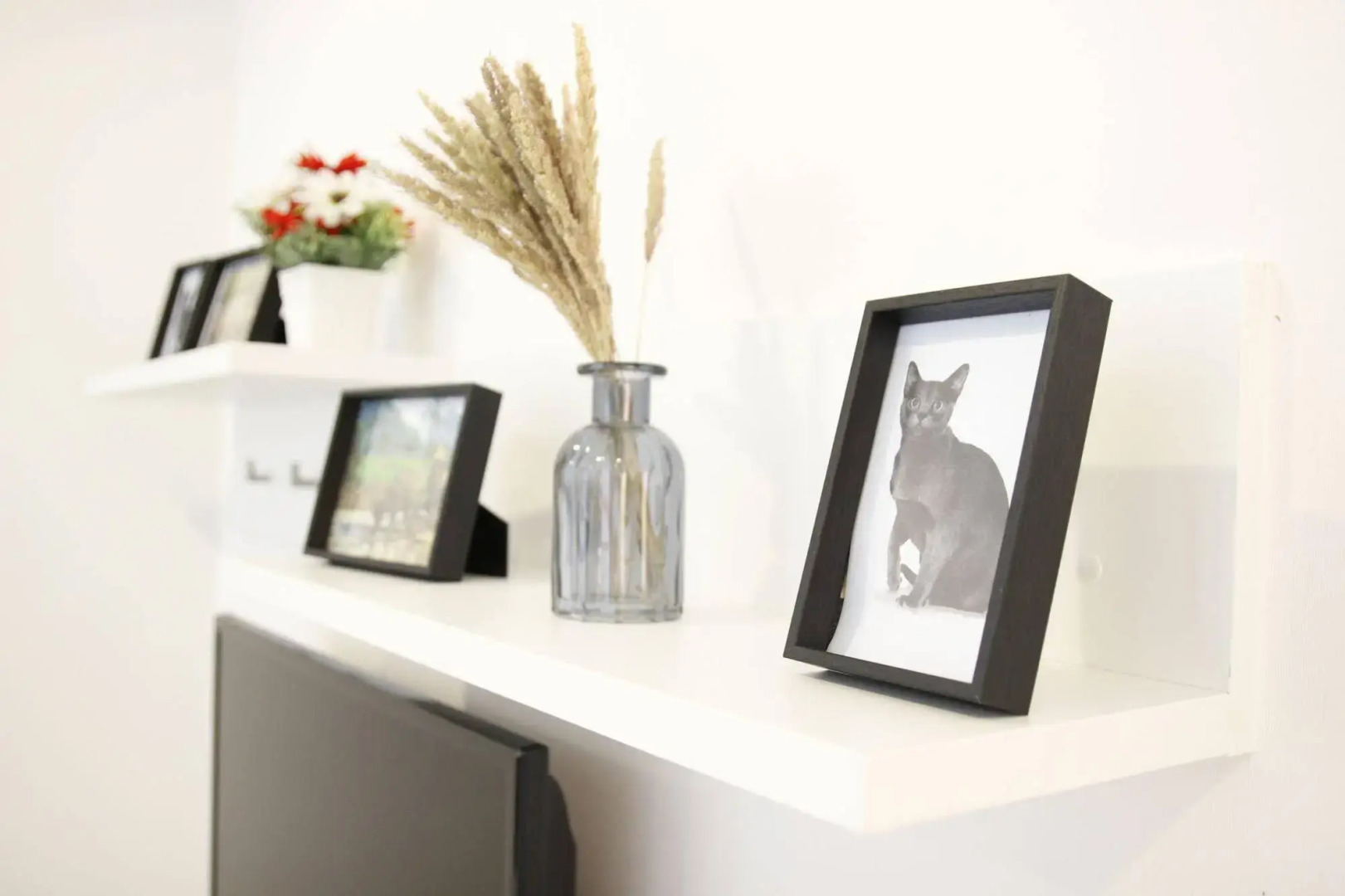 The Change All Suites