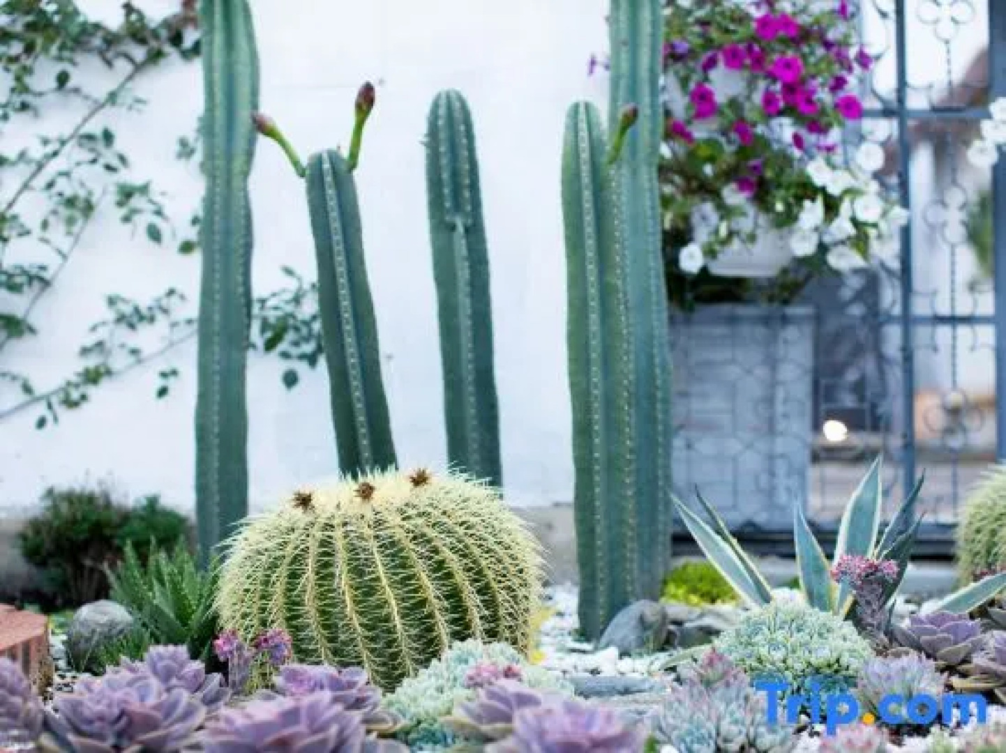 Tinghuatang Seaview Garden Inn