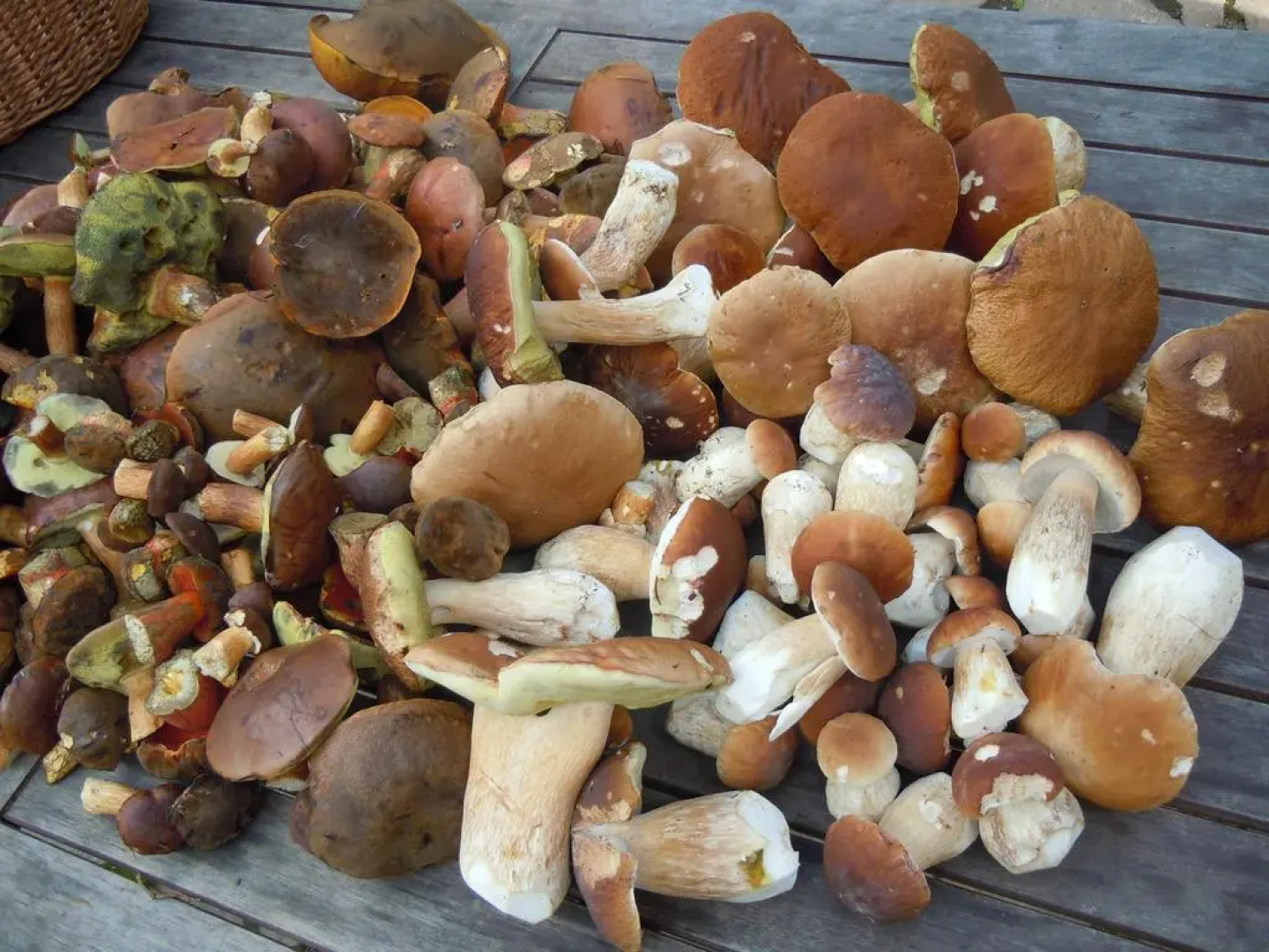 Apartmány Nové Hutě