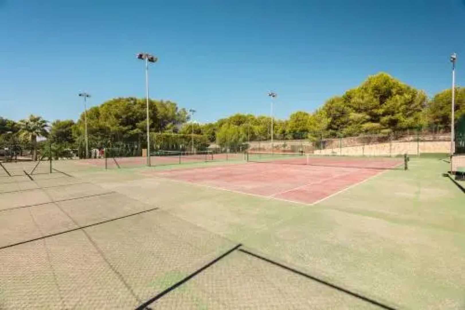 Las Palmeras Camping & Bungalow