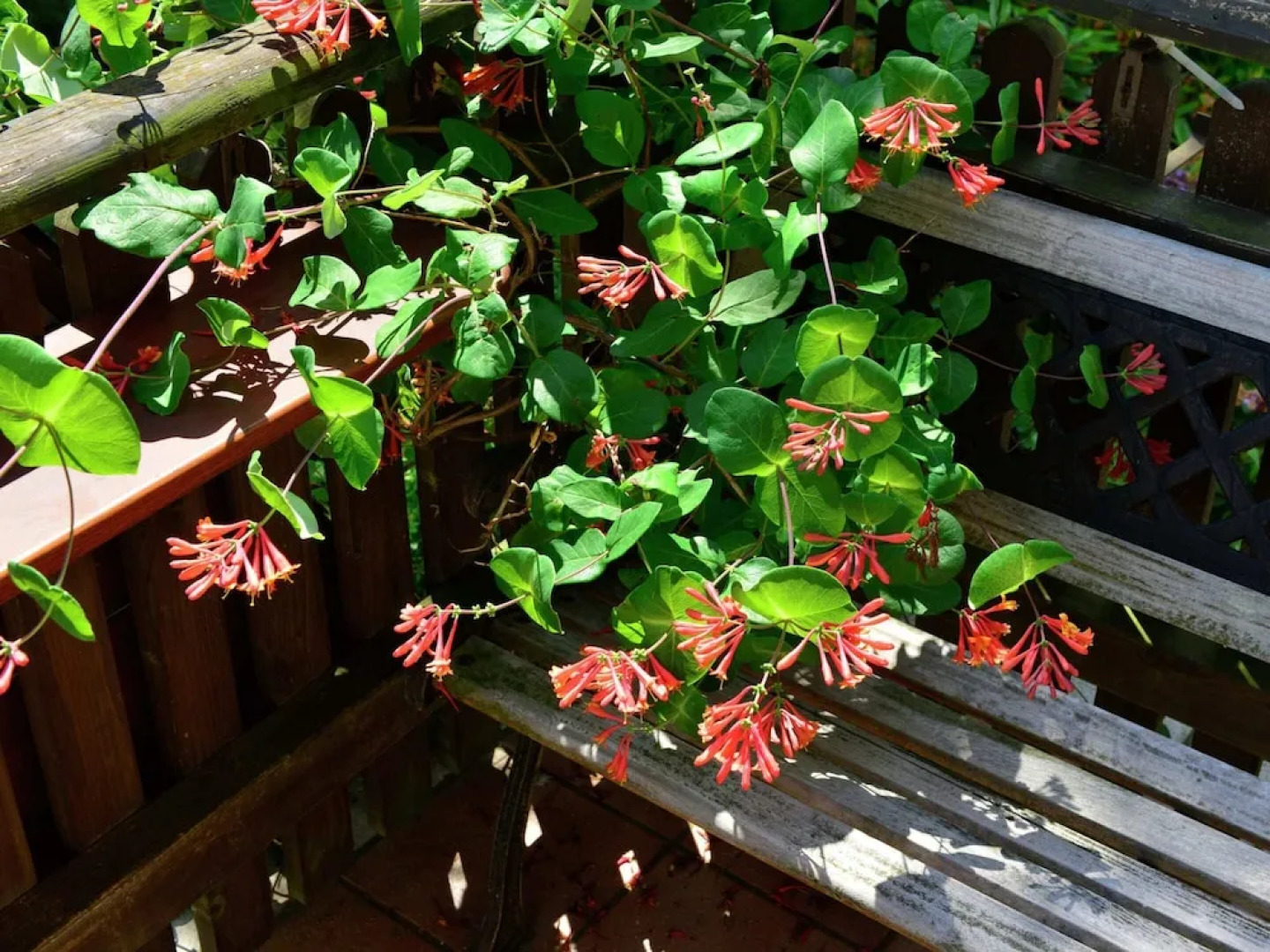 Apartment in the Hochsauer Region Quiet Location