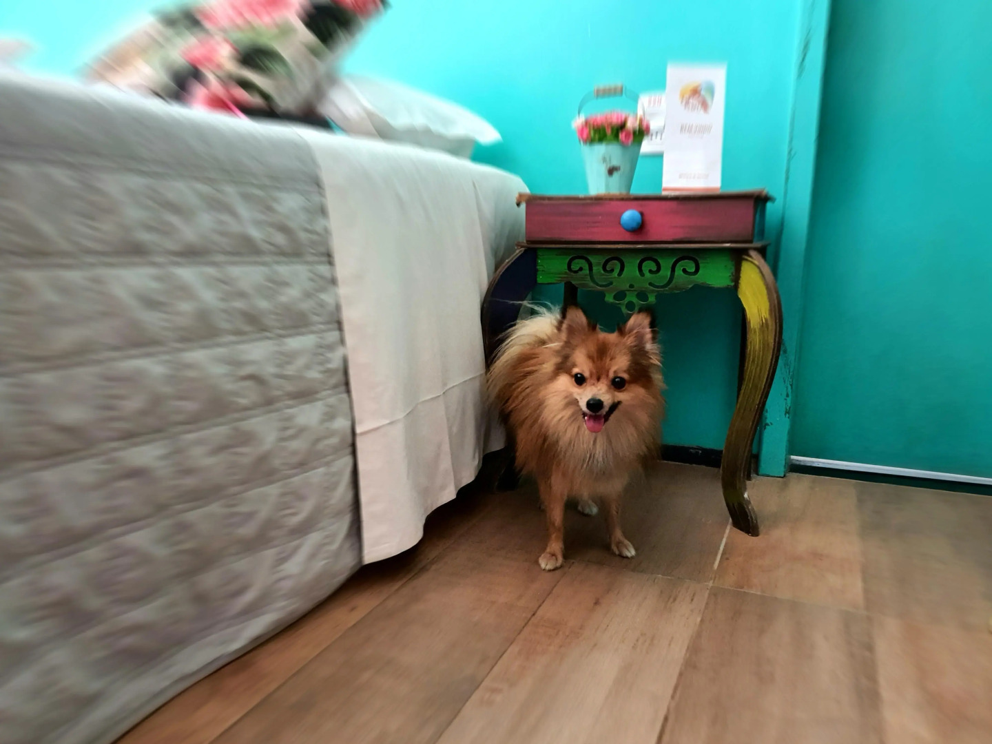 Hotel Santuário das Águias by Nobile